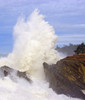 Powerful wave breaking against the rocks at Shore Acres State Park as tourists stand at a lookout point watching the intense splash, Oregon coast; Oregon, United States of America Poster Print by Craig Tuttle (14 x 16)