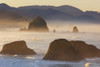 Sunrise and morning fog add beauty to Cannon Beach and Haystack Rock from Ecola State Park; Oregon, United States of America Poster Print by Craig Tuttle (17 x 11)