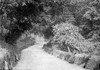 Harden road Bridge Poster Print by John Short (19 x 13)