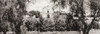 Mission Basilica San Diego de Alcal�, San Diego, California, United States of America, c. 1915.  The mission was founded on July 16, 1769, by Spanish friar Jun�_pero Serra. From Wonderful California, published 1915. Poster Print by Ken Welsh (24 x 8)