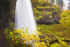 North Middle Falls In Silver Falls State Park; Oregon, United States of America Poster Print by Craig Tuttle (17 x 11)