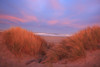 Warm sunrise light over Bandon Beach on the Oregon Coast, viewed from Coquille River Light, USA; Oregon, United States of America Poster Print by Craig Tuttle (17 x 11)