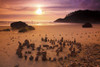 A warm glow at sunset on Indian Beach along the Oregon coast; Oregon, United States Of America Poster Print by Craig Tuttle (17 x 11)