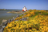 Coquille River Light against a blue sky with blossoming yellow foliage in the foreground along the Oregon coast in Bullards Beach State Park; Bandon, Oregon, United States of America Poster Print by Craig Tuttle (17 x 11)