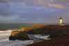 Yaquina Head Light at sunrise, Yaquina Bay State Park; Oregon, United States of America Poster Print by Craig Tuttle (17 x 11)