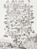 Genealogy of the Medici family of Florence. Poster Print by Ken Welsh (13 x 17)