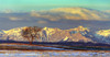 Lone tree in a field against a background of a partially snow-covered mountain range with early morning warm light, clouds and blue sky, West of Calgary, Alberta; Alberta, Canada Poster Print by Michael Interisano (19 x 10)