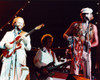 Beach Boys Performing On Stage Photo Print (8 x 10)