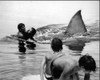 Scene From Jaws Black And White Photo Print