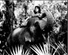 Jason Scott Lee Laying On Elephant In The Jungle Book Black And White Photo Print (8 x 10)