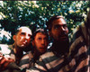 John Turturro, Tim Blake Nelson And George Clooney In O Brother, Where Art Thou? Photo Print (8 x 10)