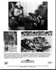 Snow Dogs Movie Summary And Dvd Ad Photo Print (8 x 10)