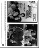 Jersey Girl Movie Dvd Ad Black And White Photo Print (8 x 10)
