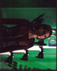 Willa Holland On Set Of The Flash Photo Print (8 x 10)