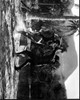 Julie Adams, Richard Carlson, And Ben Chapman Fighting In Creature From The Black Lagoon Black And White Photo Print (8 x 10)