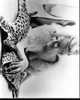 Carol White Laying On Leopard Rug Black And White Photo Print (8 x 10)