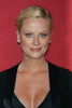 Amy Poehler, 2008 Photo By John Barrett (Amy Poehler3248) Poster