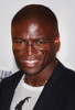 Seal, 2008, Photo By John Barrett (Seal1045) Poster