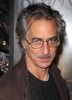 David Strathairn, 2008, Photo By John Barrett (David Strathairn1025) Poster