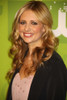 Sarah Michelle Gellar, 2011, Photo By John Barrett (Sarah Michelle Gellar1100) Poster