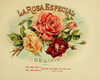 La Rosa Poster Print - Apple Collection Vintage