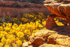 USA- Utah- Grand Staircase Escalante National Monument. Escalante River Basin rock formations. Poster Print - Gallery Jaynes