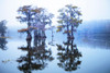 Caddo Lake morning Poster Print - Larry Ditto