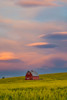 USA- Washington State- Palouse. Springtime with Red Barn Poster Print - Darrell Gulin