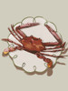 Crustacean Beige Poster Print - Road Urban