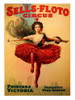 Sells-Floto Circus Poster Print - Apple Collection Vintage