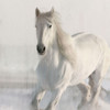 Wildflower Horse V2 Poster Print - Kimberly Allen