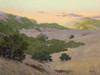 San Juan Bautista Hills Poster Print - Ed Penniman