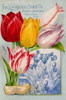 autumncatalogue-tulipes Poster Print - Apple Collection Vintage