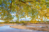 USA- New Mexico- Sandoval County. Sandia Mountains and Rio Grande River in autumn. Poster Print - Gallery Jaynes
