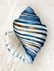 Blue Shell Series III Poster Print - Aimee Wilson
