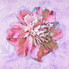 Garden Fresco Poster Print - Tina Lavoie