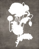 Spirit Poppy I Poster Print - Tina Lavoie