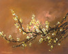 Yellow Plum Blossom 2 Poster Print - Thomas Leung