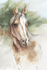 Equine Majesty Poster Print - Eli Jones