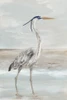 Heron on the Beach Walk Poster Print - Eli Jones