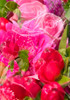 Flowers for Valentine Poster Print - William Tenoever