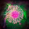 Untitled 33 Poster Print - Tina Lavoie