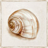Pink Vintage Shell II Poster Print - Eli Jones