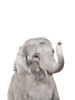 Baby Elephant Poster Print - and Seb Sisi