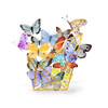 Butterfly Terrarium Poster Print - Tina Lavoie