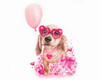 Pawsitively Love You - Daschund Poster Print - Pike Art Sheena