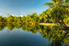 French Polynesia- Tahaa. Tropical jungle reflects in lagoon. Poster Print - Gallery Jaynes