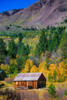 Cabin is in Hope Valley-in the Sierra Nevada-California-USA. Poster Print - Betty Sederquist