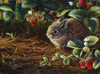 Young Cottontail And Strawberries Poster Print - Wilhelm Goebel