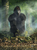 Gorilla Poster Print - Daniel Eskridge